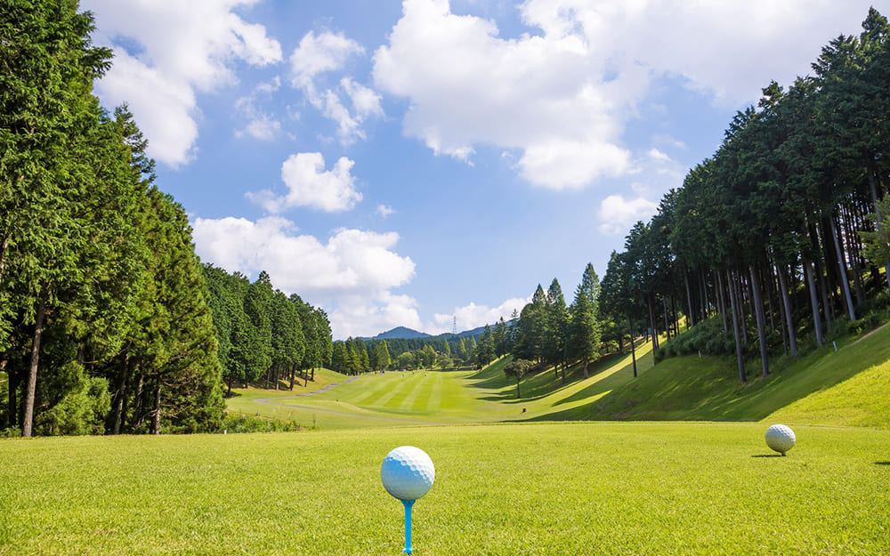 Leilehua Golf Course, HI