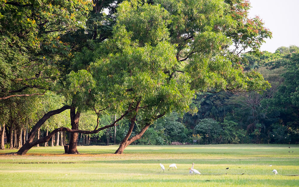 Maka'unulau Community Park, HI